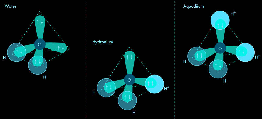 Aquodiium.