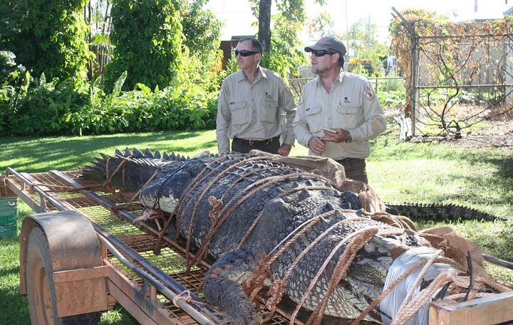 Los guardias veteranos John Burke y Chris Heydon habían intentado capturar al enorme cocodrilo por cerca de una década.