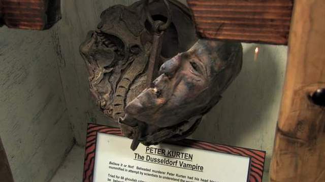 La cabeza momificada en exhibición.