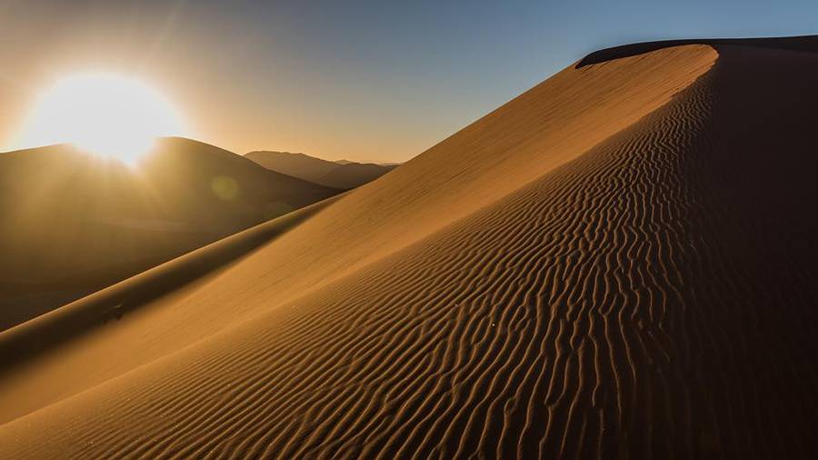 Las dunas más altas de la Tierra están en el desierto de Namibia y pueden alcanzar los 300 metros de altura.
