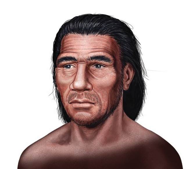 'Homo neanderthalensis'. Vivió hace 230 mil años. Su cráneo era alargado y robusto. Su nariz, amplia y de aletas prominentes; y poseía una mandíbula poderosa.