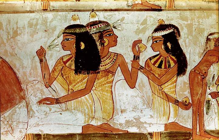 Los aceites esenciales de diferentes plantas han sido usados para propósitos terapéuticos desde hace siglos. Los antiguos egipcios solían utilizarlos.