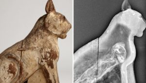 Decenas de momias y estatuas de gatos en las pirámides de Egipto