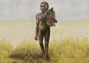 Arqueológica: Los antepasados de los hobbits descubiertos en Indonesia