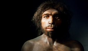 ¿Confirman que el homo sapiens modificado genéticamente por extraterrestres?